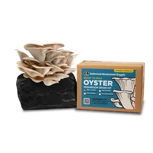 Grey Oyster Mushroom Grow Kit
