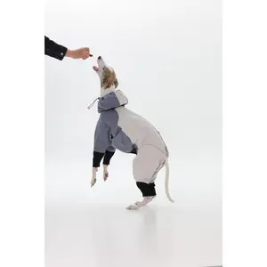 Trail Series -  Multi-purpose dog jacket - Mt. Rainier Theme windproof & waterproof