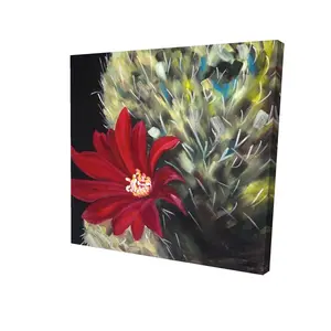 212 MAIN High-Def Contemporary Botanical Wall Art Poster - 24x24 in. Echinopsis Red Cactus Flower Black Floral Print, Modern Art Design for Home Room Decoration