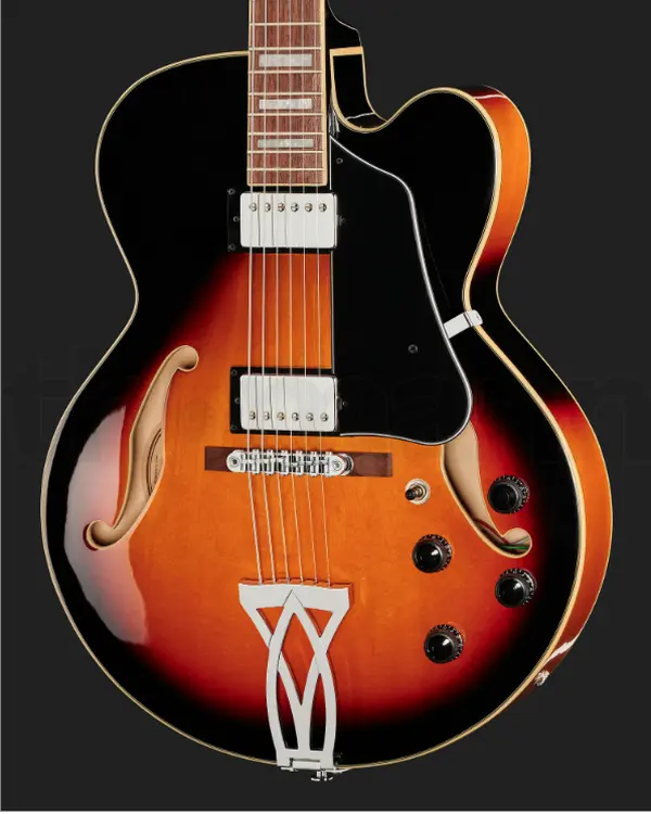 Ibanez Hollow Body Electric Guitar for Jazz, Rhythm and Blues - Perfect for Music Lovers