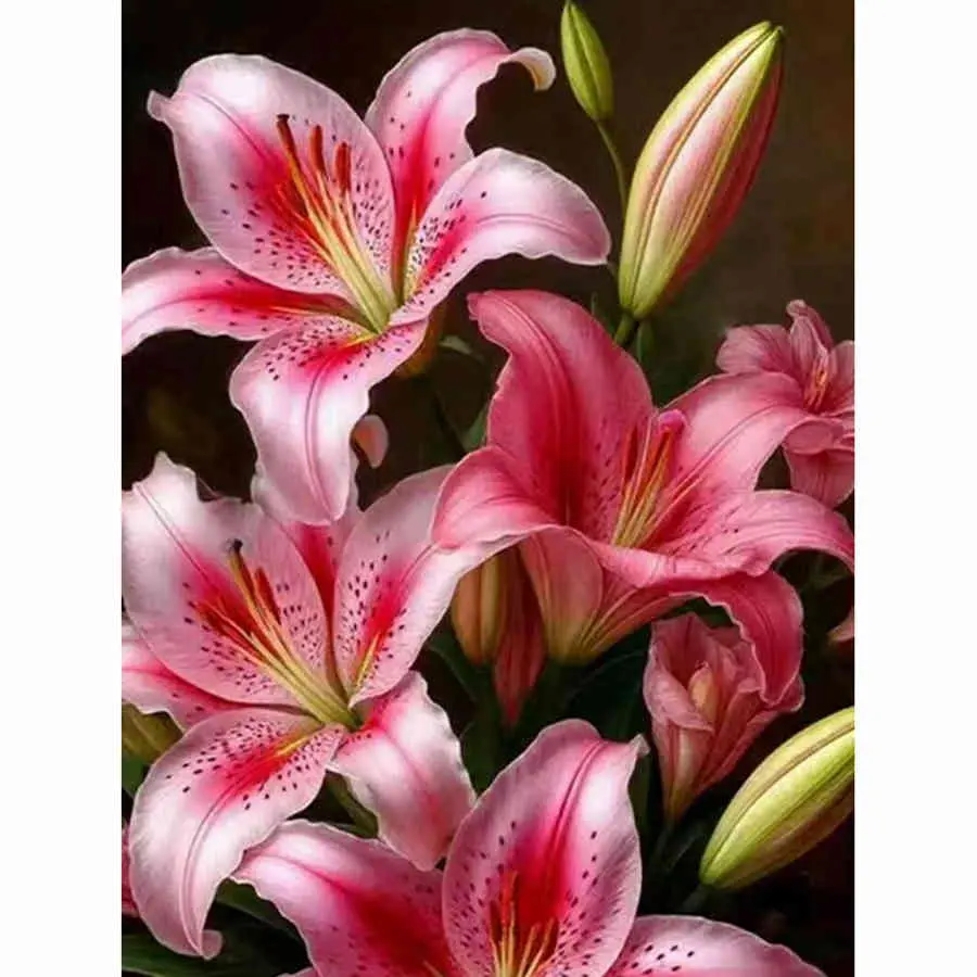 Vibrant Pink Stargazer Lilies Diamond Painting Kit, Craft Realistic Blooming Lily Flowers with Buds on Dark Background Art, High-Quality Full Drill Round & Square Rhinestone Mosaic, 5D DIY Handmade Cross Stitch Home Wall Decor, 12x16 inch / 30x40cm