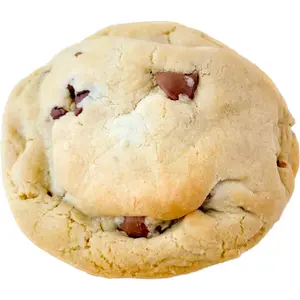 Chocolate Chip Cookie, Delicious Snack Biscuit for Daily Enjoyment