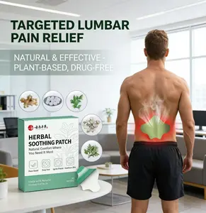 Lower Back Lumbar Support Herbal Heat Patches, 30 Count Value Box, Soothing Warm Therapy for Pain Relief & Relaxation, Hypoallergenic Disposable Ice Body Care, Ideal for Drivers, Office Workers, Athletes spine multi-use bone cold knee daily long-lasting