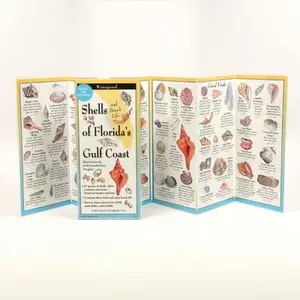 Shells and Beach Life of Florida's Gulf Coast -- Jackie Leatherbury Douglass, Poster