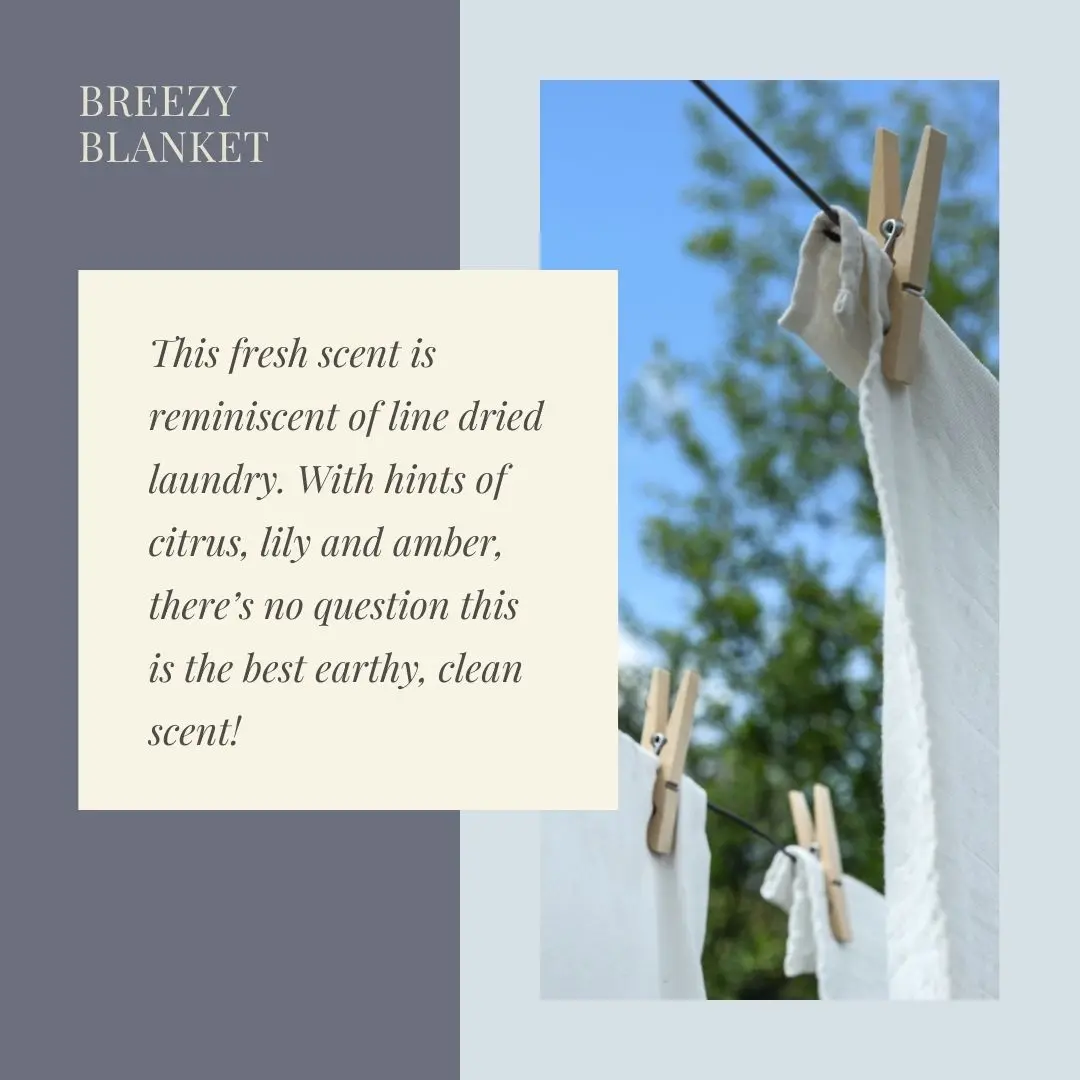 Deluxe Concrete Gift Set - Scented White Deluxe Concrete Gift Set - Scented White