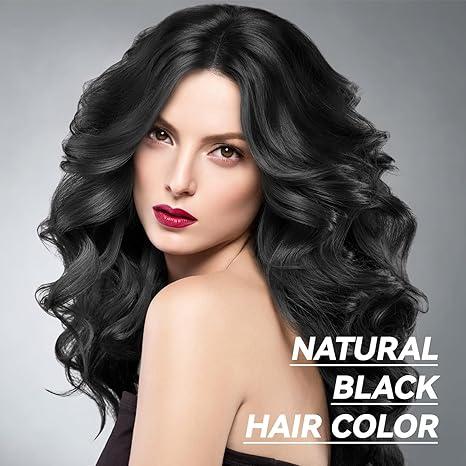 KAISASA Black Hair Dye Shampoo 3 in 1 - Can cover gray hairs, Herbal Ingredients, Contains Ginseng Extract, Natural Haircoloring, Plant Haircare