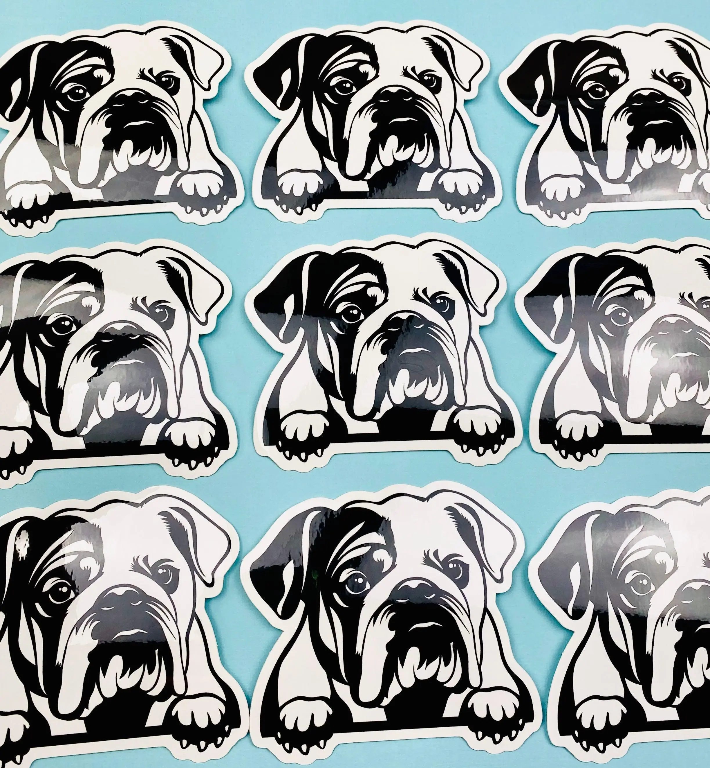 English Bulldog Sticker Black & White English Bulldog Head Paws Dog Decal for Car, Water Bottle