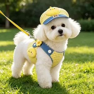 3-In-1 Dog Leash And Sun Hat Set, Including Anti Pull Chest Strap, Soft And Adjustable, Suitable For Small And Medium-Sized Dogs, Specially Designed For Bichon, Yorkshire, And Chihuahua, Machine Washable Outdoor Dog Walking Equipment