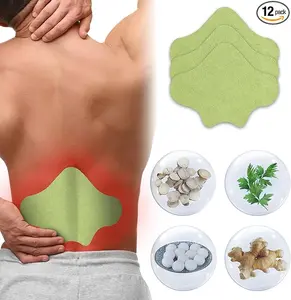 Natural Back Relief Patches - Herbal Lumbar Spine Patch for Soreness, Discomfort, Sciatica, Strain, Imbalances - 48 Pack for Men & Women - Healthcare Aid Bathroom