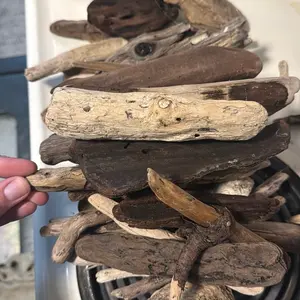 Dry Driftwood from Monterey Bay Natural Random Pieces for Decorative Use. Price is for 4 sticks.