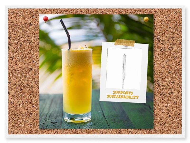 Fermentaholics The 5 Tool Takedown Bottle Brush Cleaning Kit | 5 Piece Scrubbing Brush Set for Cleaning Bottles, Jars, Jugs, Straws, Fermenters, Drains, and More