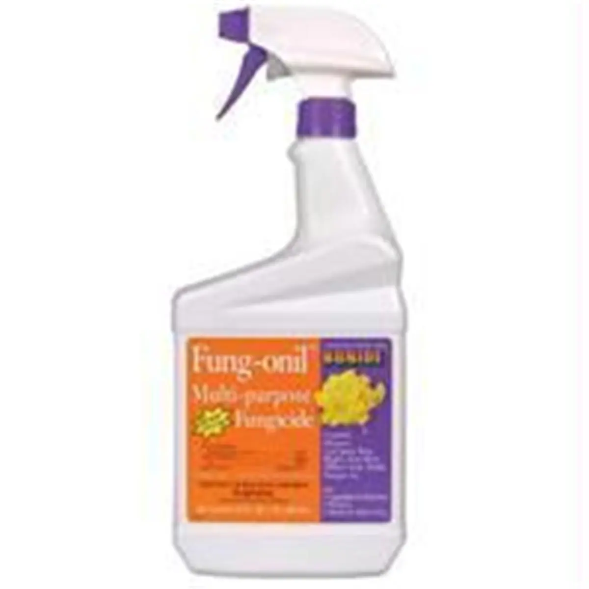 212 MAIN P-Fungonil Multi-Purpose Fungicide, 1 Qt Ready-to-Use Trigger Spray (No Mix Solution) for Outdoor Garden, Excellent Plant Disease Control for Ornamental Trees & Shrubs