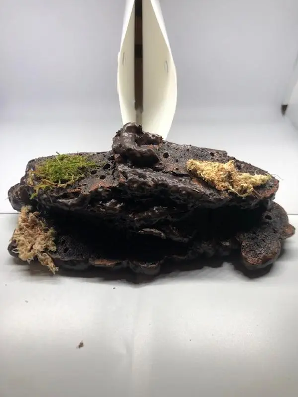 Large Desert Reptile Magnetic Rock Ledges For Terrariums And Cages