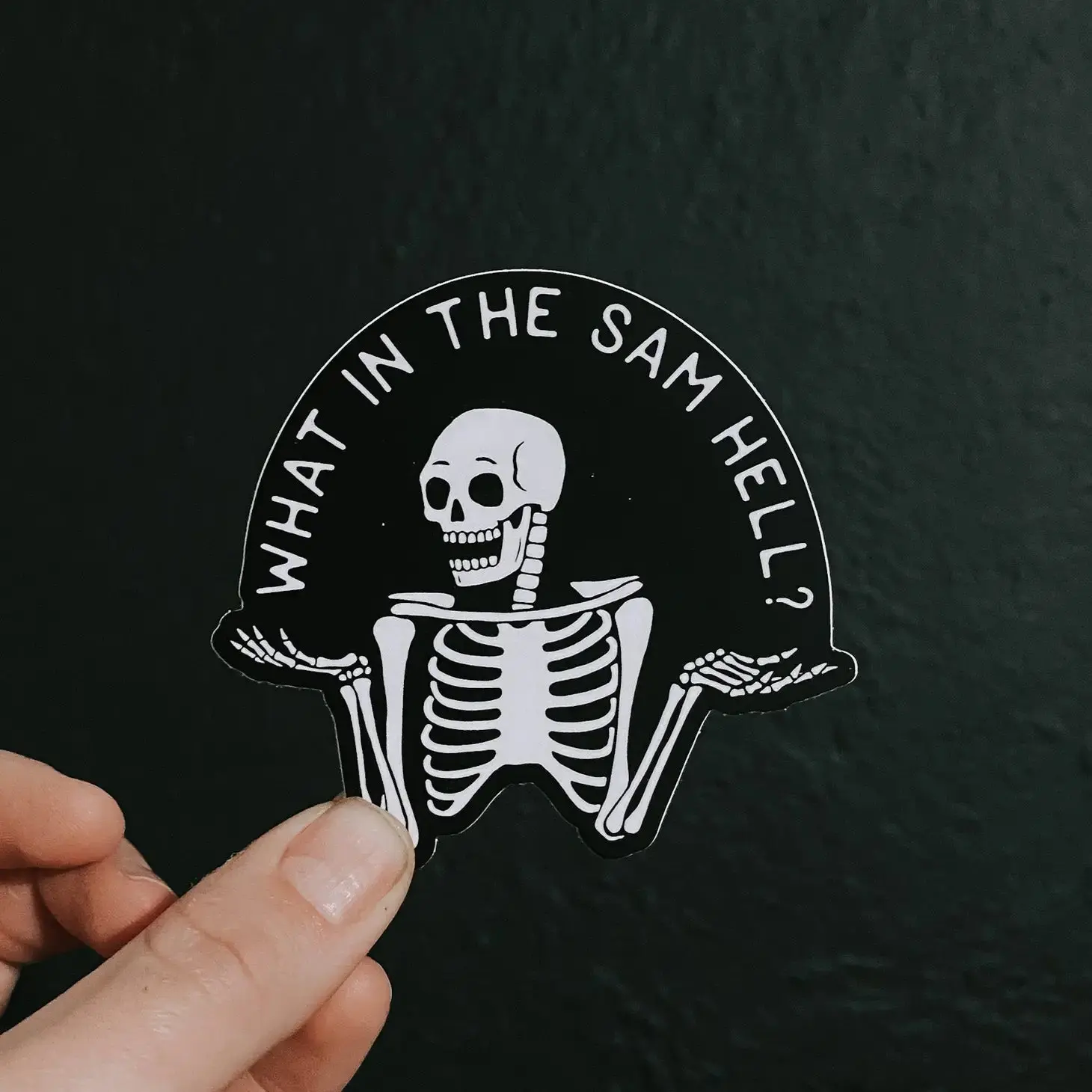 WHAT IN THE SAM HELL STICKER