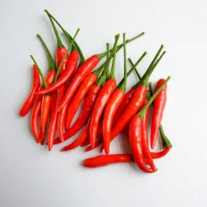Thailand Bird's Eye Chili Pepper Seeds - Hot Thai Dragon Pepper for Oriental Dishes & Ornamental Use - Capsicum annuum - 80 Days to Maturity - Full Sun & Fertile Soil Preference