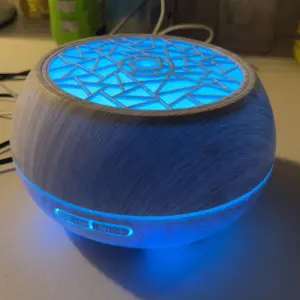 Struggling with Dry Air 550ml Family Diffuser Humidifies Purifies with 6 Therapeutic Oils & Remote-Controlled Ambiance