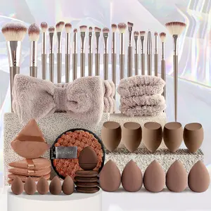 49pcs Multi-functional Makeup Tool Set, Makeup Brushes Kit with Makeup Brush Foundation Brush Make up Brushes Set (Champagne)