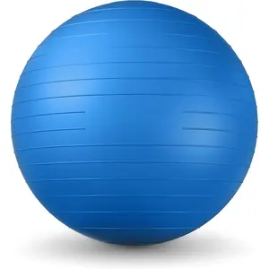 Exercise Ball - Yoga Ball for Workout Pregnancy Stability - AntiBurst Swiss Balance Ball w/ Pump - Fitness Ball Chair for Office, Home Gym