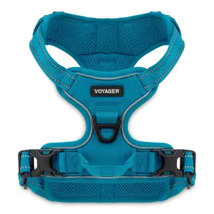 Dual-Attachment Dog Harness