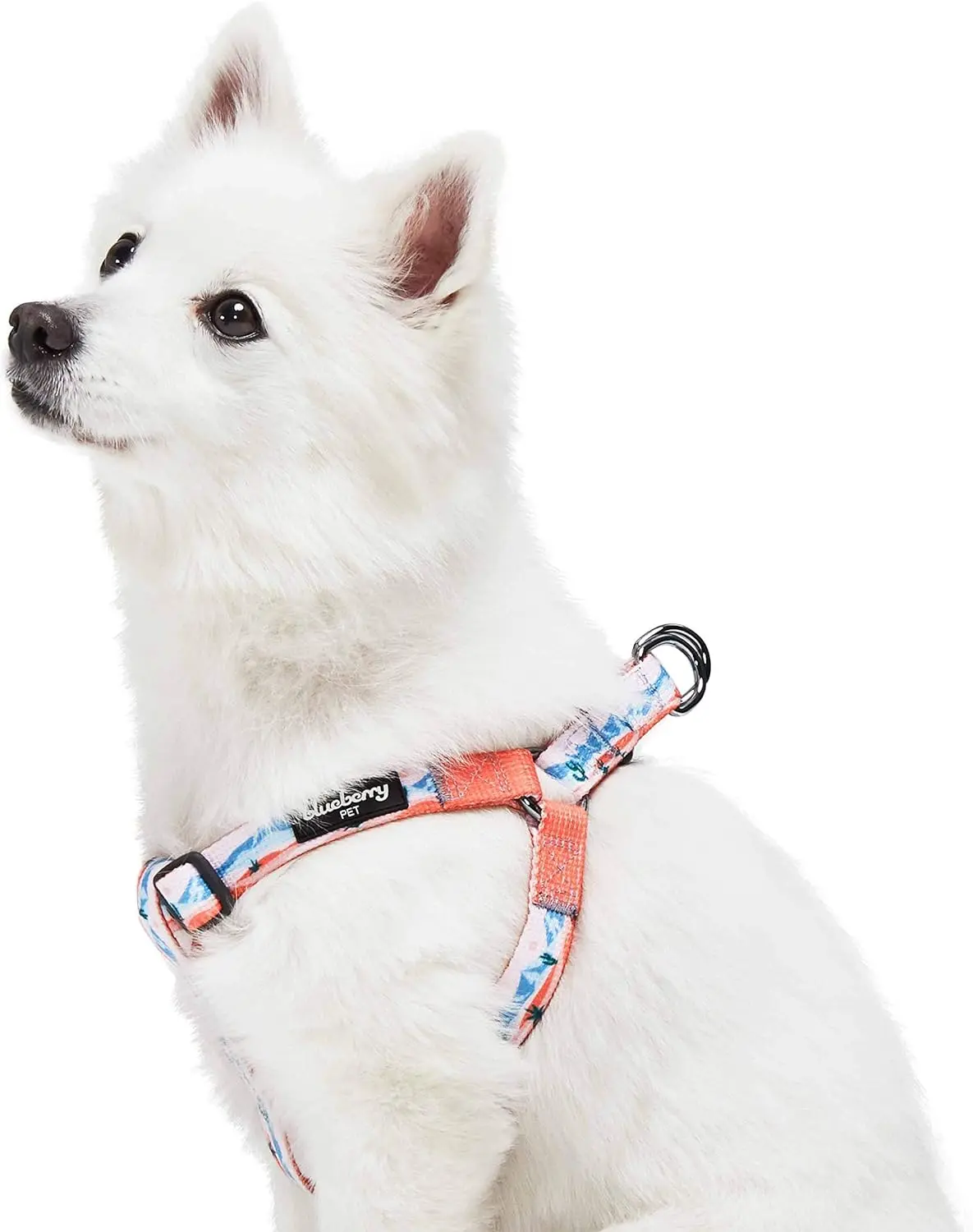 Blueberry Pet × Jackelyn Ho Step-In Mountain Climbing Fun Dog Harness, Chest Girth 20" - 26", Medium, Adjustable Harnesses for Dogs