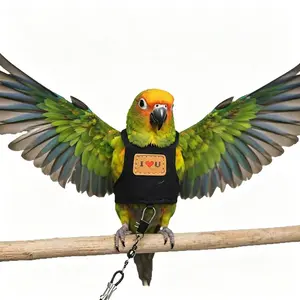 Zoomie Zone Anti-Escape Parrot Harness and Leash, Adjustable Soft Breathable Bird Flight Vest for Cockatiel, Conure, Parakeet, Outdoor Training & Walking Bird Gear (3 Sizes)