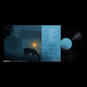 Dermot Kennedy - I've Told The Trees Everything  [VINYL RECORD - LP] UK - Import