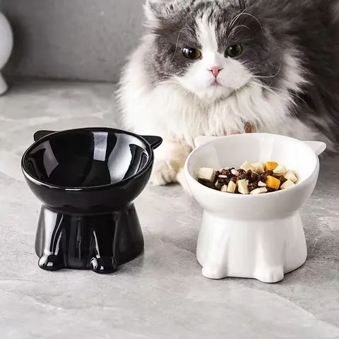 2-Pack Elevated Cat Dog Feeding Bowls, 15° Tilted Anti-Vomit Feeder, Cervical & Spinal Protection, Non-Slip Base, Durable Plastic, Ideal for Cats & Small Dogs
