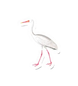 Birdy Crane