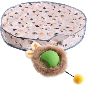 Hide Seeks Interactively Cats Toy with Detachable Play Mats And Teaser Ball