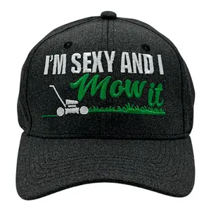 Im Sexy and I Mow It Hat Funny Sarcastic Fathers Day Graphic Novelty Cap Funny Hats Funny Sarcastic  Novelty Caps for Men Black - Standard