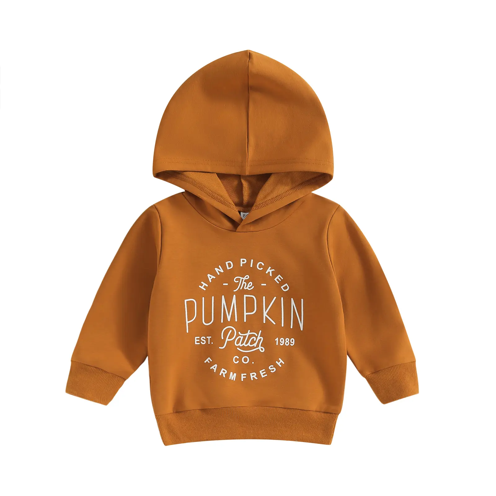 Kids Girls Boys Holiday Hoodie-Jumper, Letter Print Long Sleeve Hooded Sweatshirts for 6-12 Months & 3-4 Years Toddlers, Fall Pullovers (Baby & Maternity Clothing)