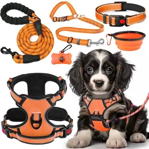 Lobeve No Pull Dog Harness, Collar & Leash Set, Fits Small Dogs, Orange - NWT