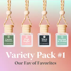 Variety 4-pack Scented Hanging Car Diffusers