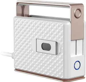 Newbealer Travel Steam Iron for Clothes, Global Voltage 100-240V Handheld Steamer, Horizontal & Vertical Steaming, Auto-off