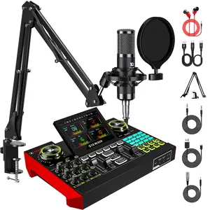 Tenlamp G10-P15 Cantilever Sound Card Kit, Upgraded Cantilever Bracket, Customizable Sound Effects, Condenser Microphone, Suitable for Live Streaming, Gaming, Vocal Podcasting, 2-Level Noise Cancellation, and Computer Audio Mixing