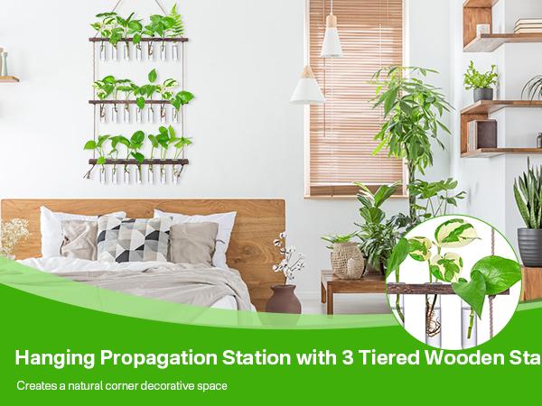 Renter-Friendly Large Indoor Plant Wall Hanger 3-Tier Glass Test Tube Planter 15.7" Wide for Small Apartments Office Spaces Decor Hanging