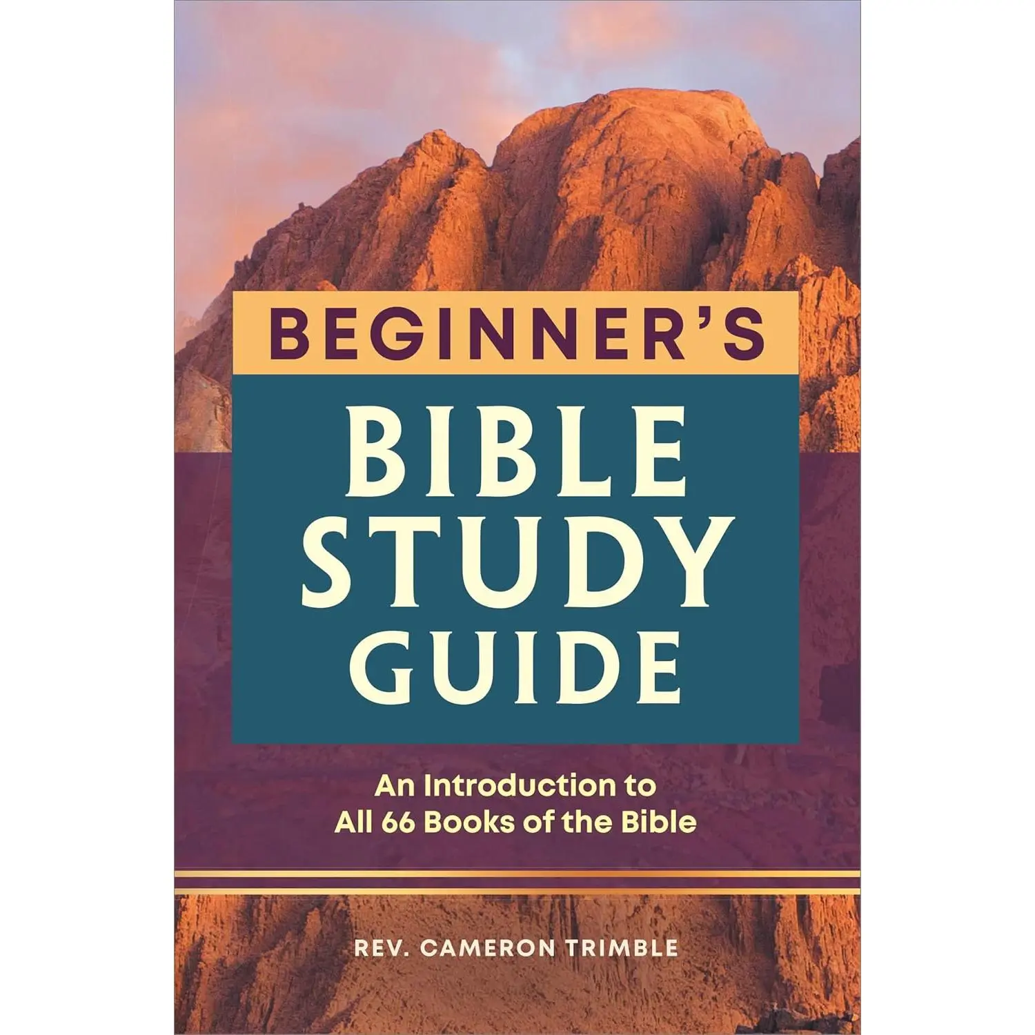 The Beginner's Bible Study Guide: An Introduction to All 66 Books of the Bible Paperback