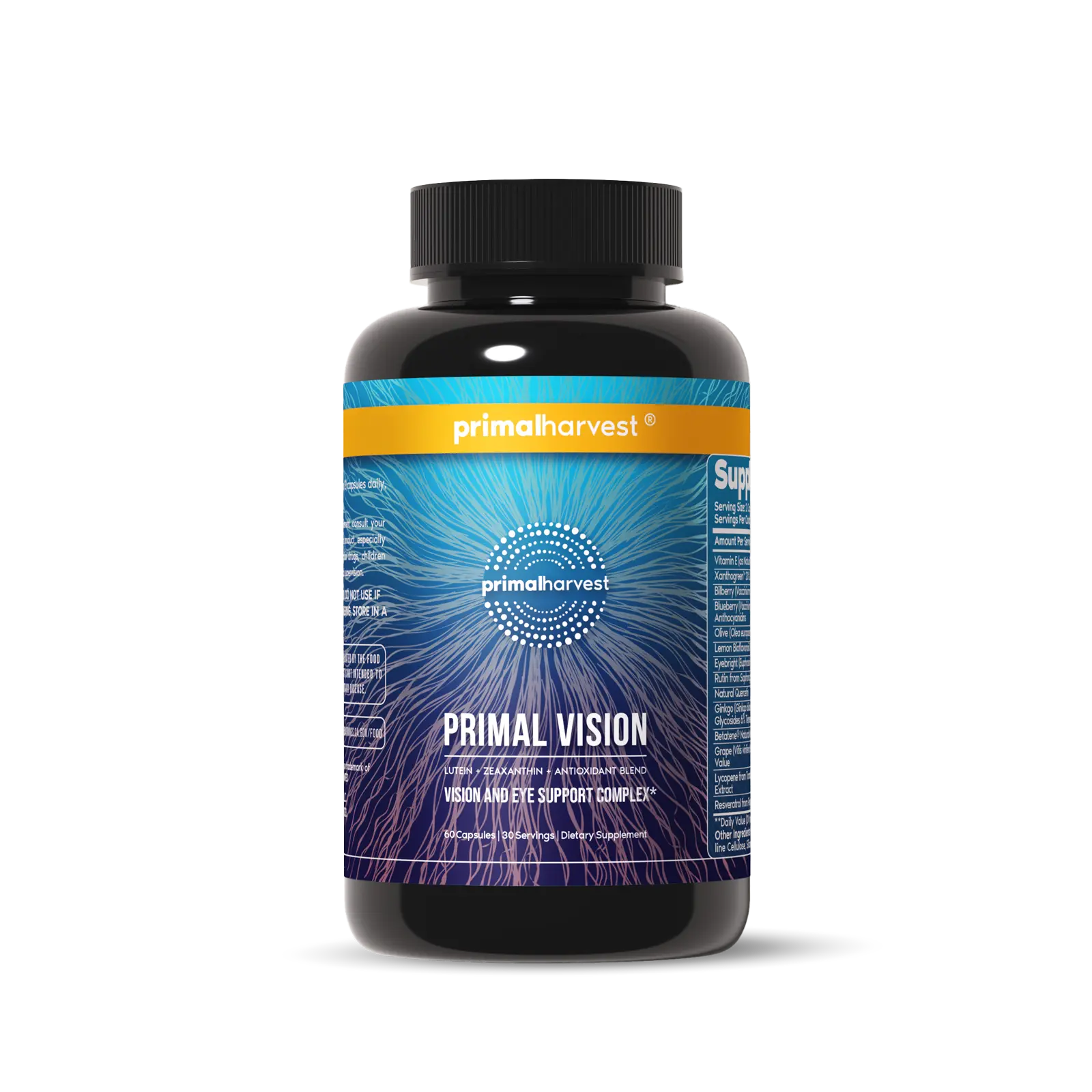Primal Vision