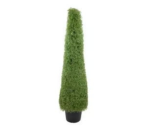 Northlight 5' Boxwood Cone Topiary Tree in Round Pot