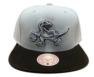 Mitchell & Ness Bl/Blk NBA Toronto Raptors Uni Away 2 Tone HWC Snapback