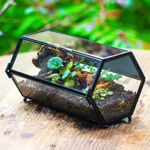 NCYP Small Stainless Steel Hexagon Shaped Enclosure Terrarium with Mesh, 4.7x7.8x4.1 inches Tabletop Jumping Spider, Small Insect Habitat, Horizontal Placed (Terrarium Only)