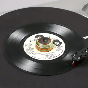 Turntable Lab: Skate Wood 45 Adaptor