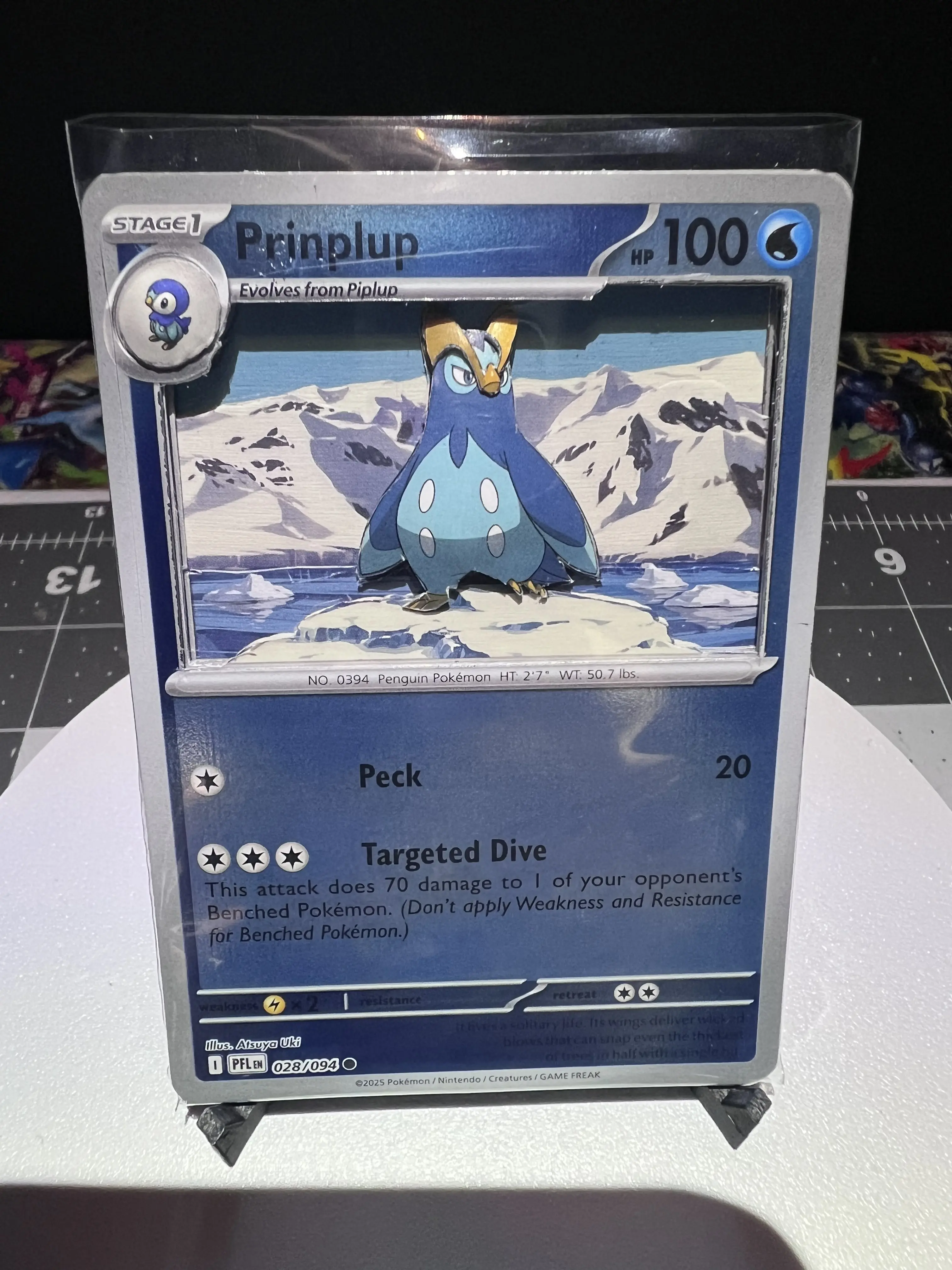Shadowbox Reverse Holofoil Prinplup