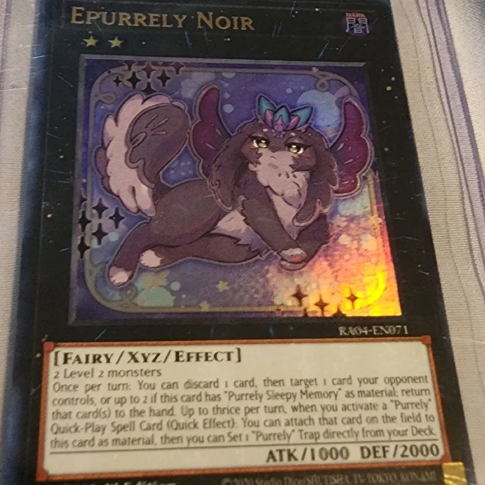 Epurrely Noir