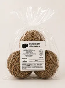 3-Pack Large Premium Rosa de Jericó (Resurrection Plant) Jericho Rose – Symbol of Prosperity & Abundance, Ideal for Home Decor & Spiritual Healing