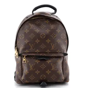 Pre-owned Louis Vuitton Canvas Coated Backpacks Palm Springs Backpack Monogram Canvas PM by Rebag