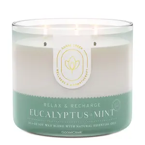 Eucalyptus & Mint Aromatherapy 3-Wick Candle