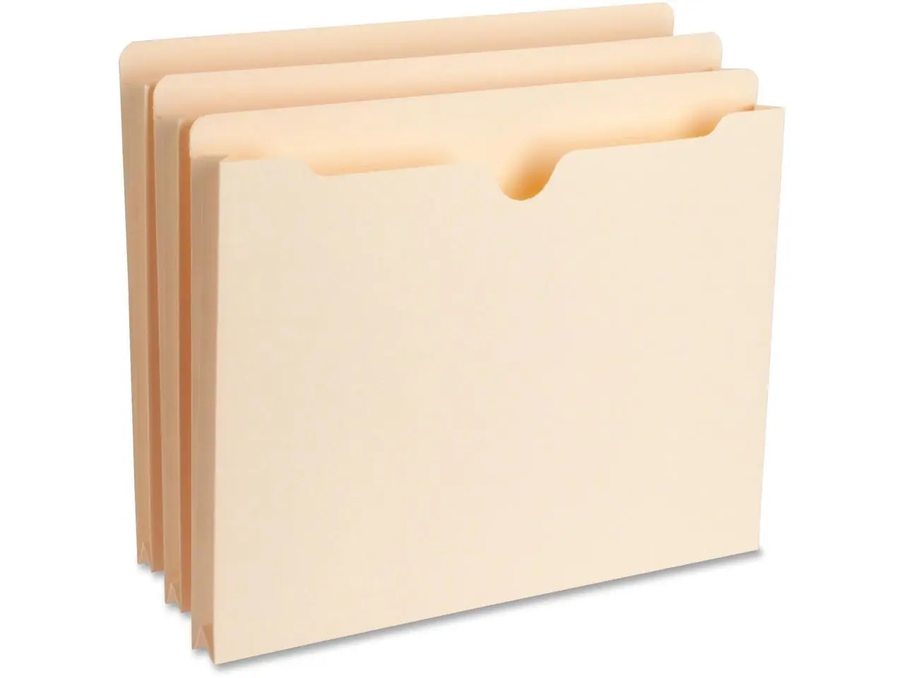 Business Source File Pocket Straight Tab 1" Exp. 200 Cap. Letter 50/BX MLA 65797
