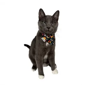 "The Hawaiian" Bandana & Collar Set