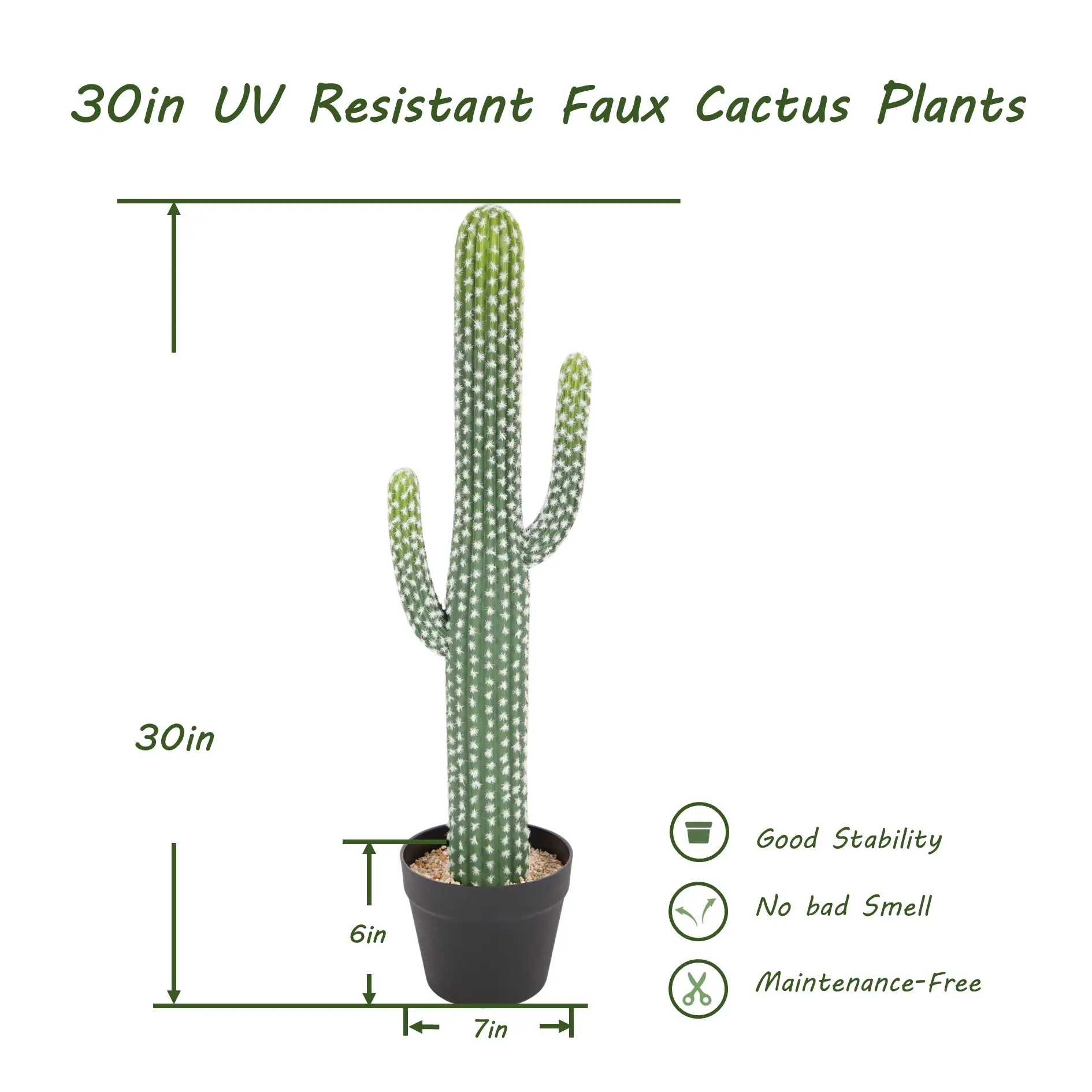dracaena flower Hawaiian Sunshine Dracaena – Pike Nursery main image 0